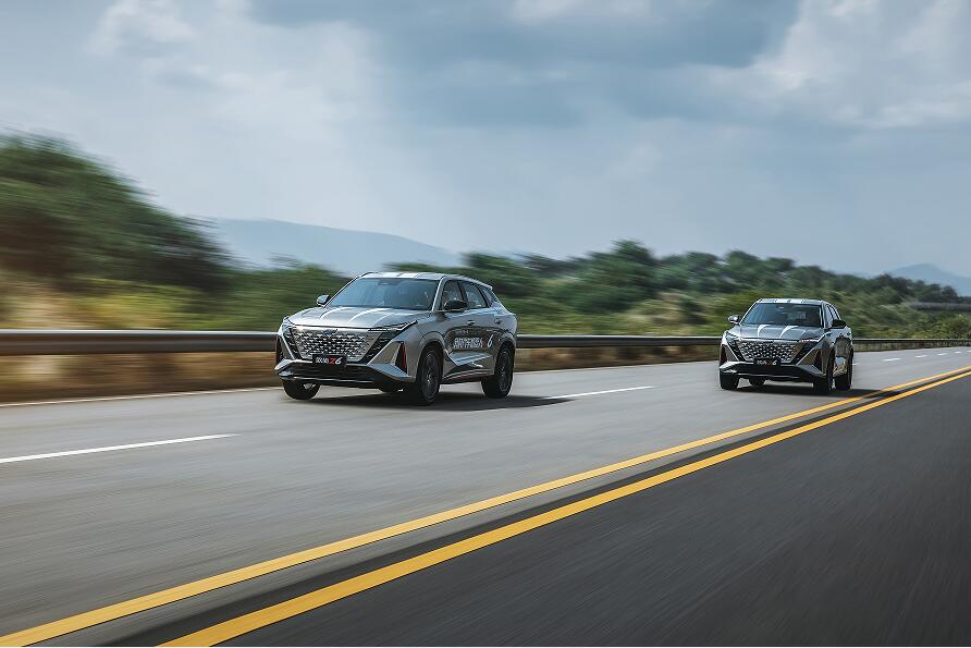 Z6